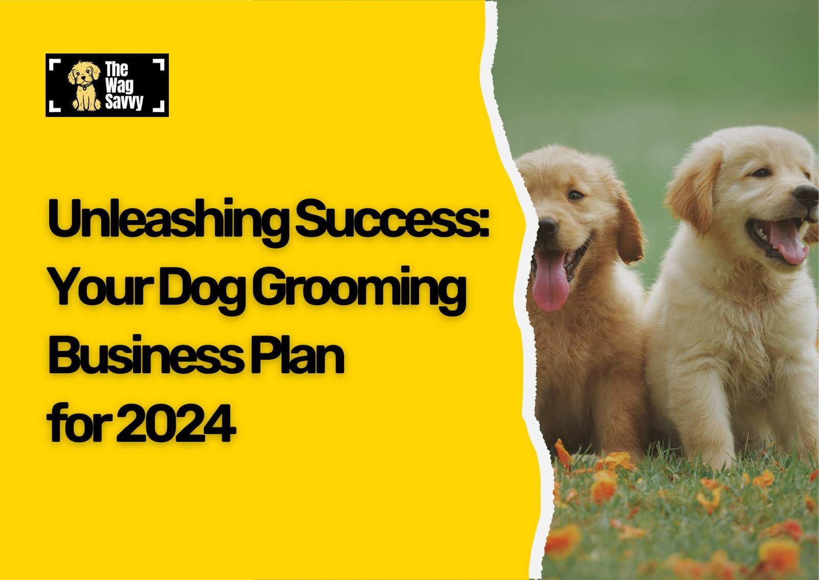 Dog Grooming Business 2024